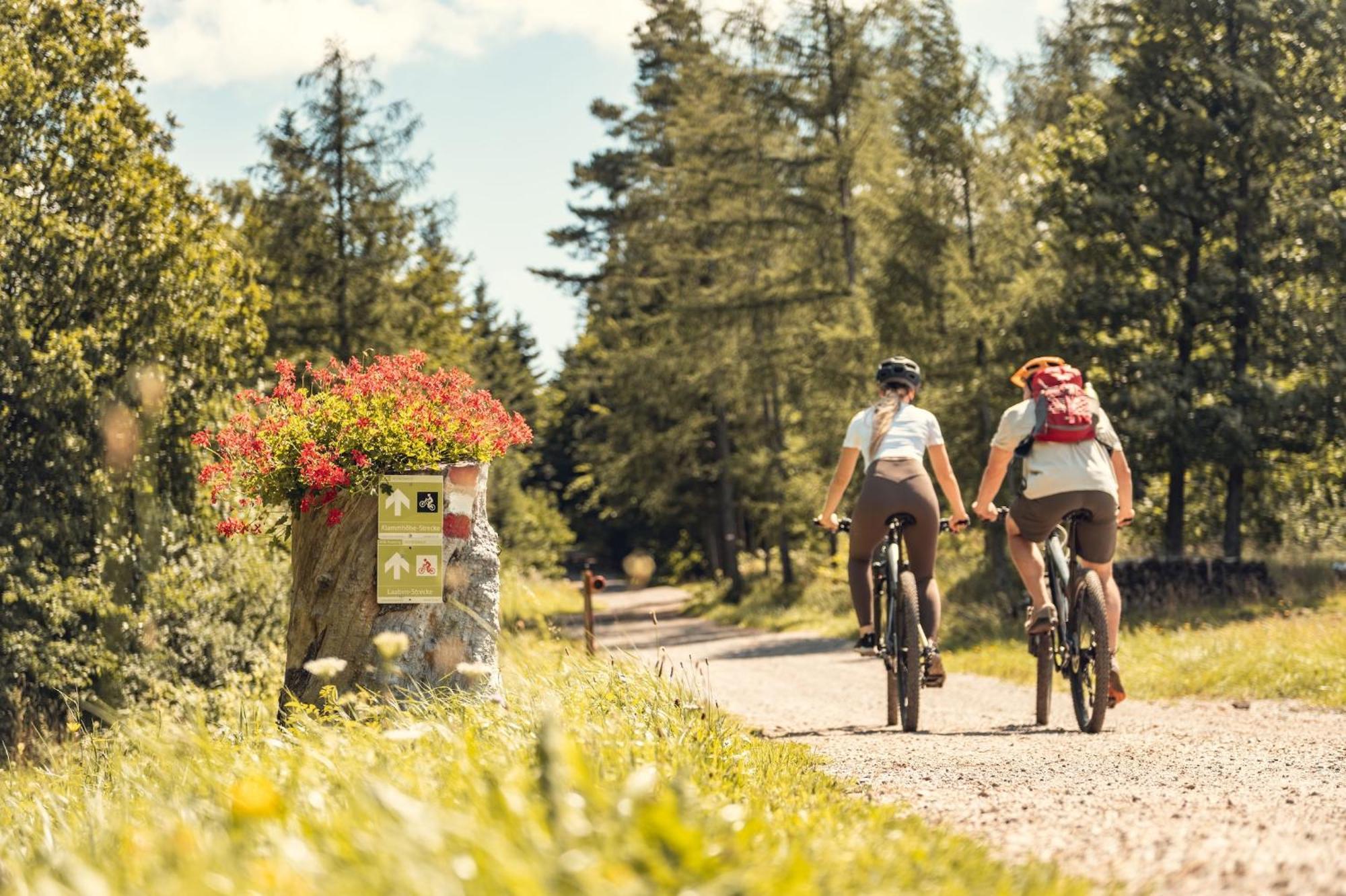 Landgasthof Zur Linde Laaben エクステリア 写真