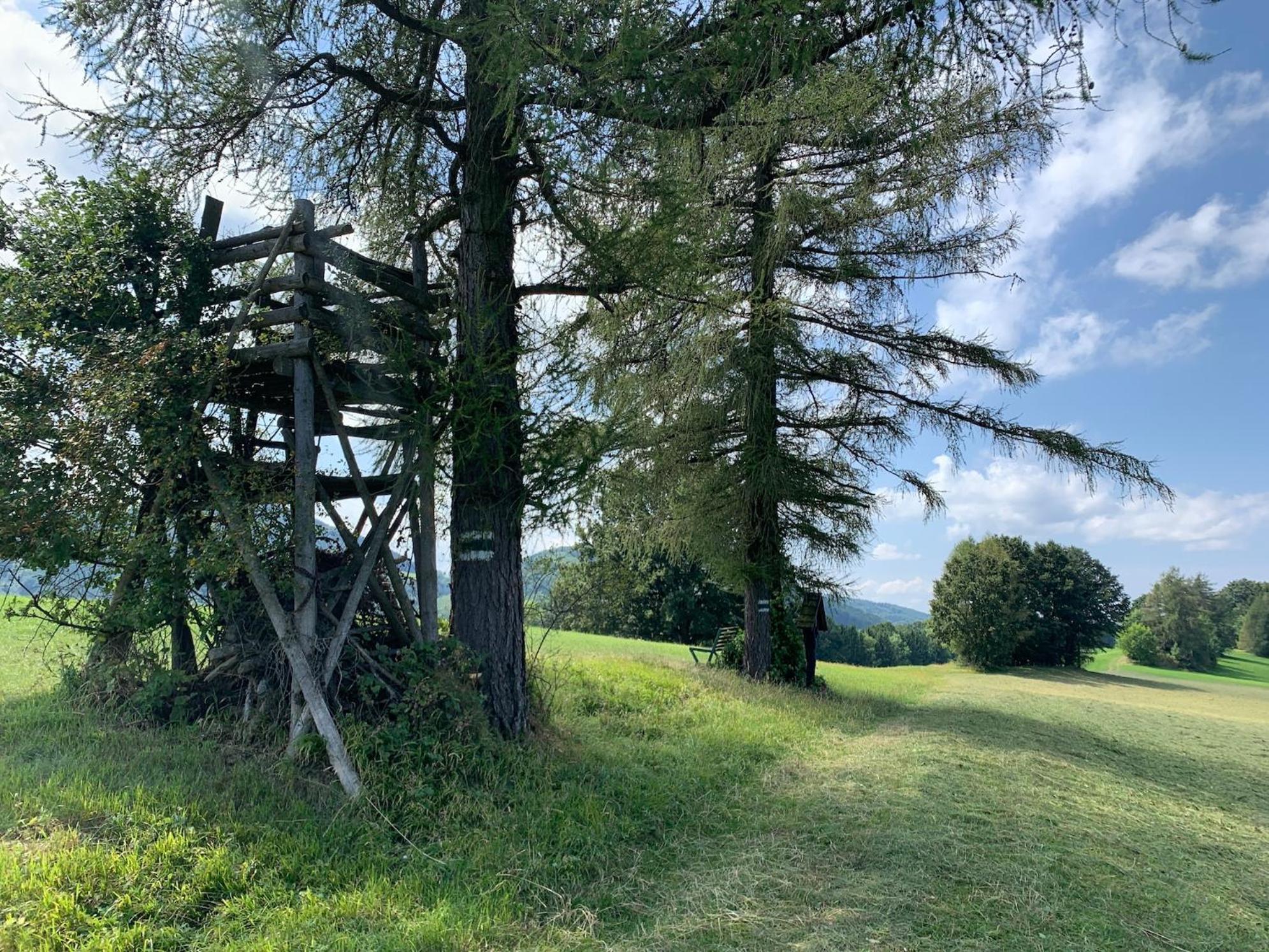 Landgasthof Zur Linde Laaben エクステリア 写真