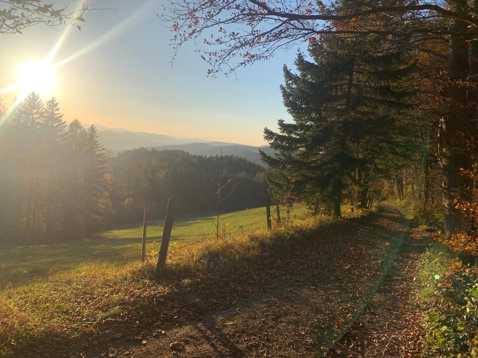 Landgasthof Zur Linde Laaben エクステリア 写真